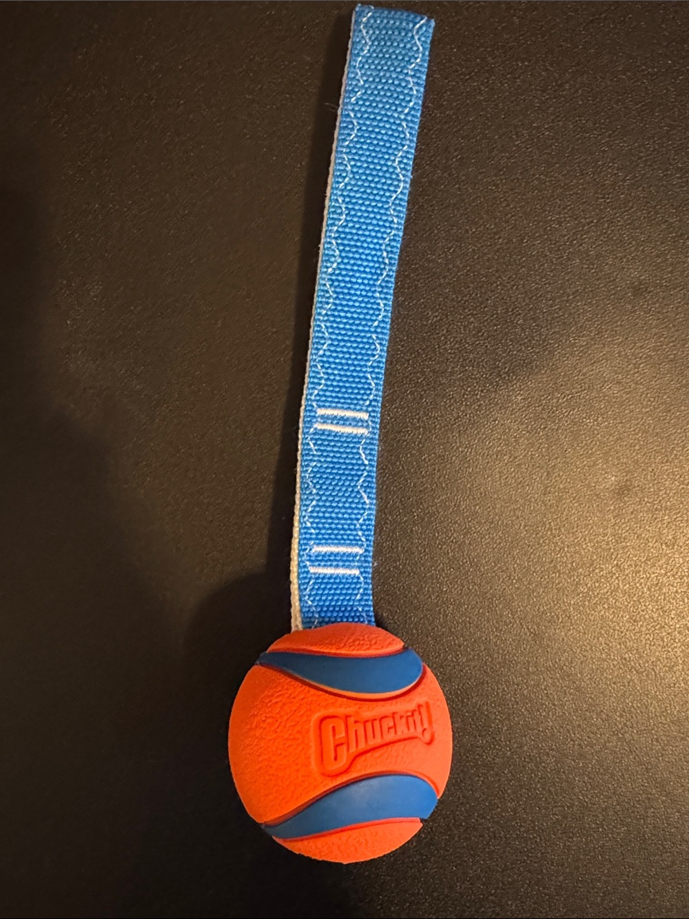Puppy Play Pack No.2 | Medium/ Large 5 Dog Toy Bundle| ChuckIt! + JoyHound + Etc - Picture 3 of 5